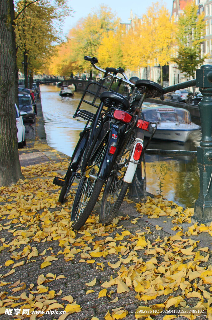秋日落叶旁停放的多彩自行车