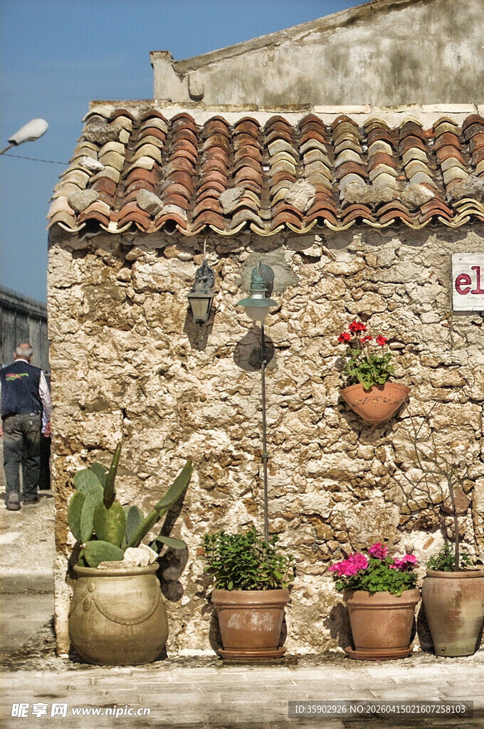 石墙边的多彩盆栽景观