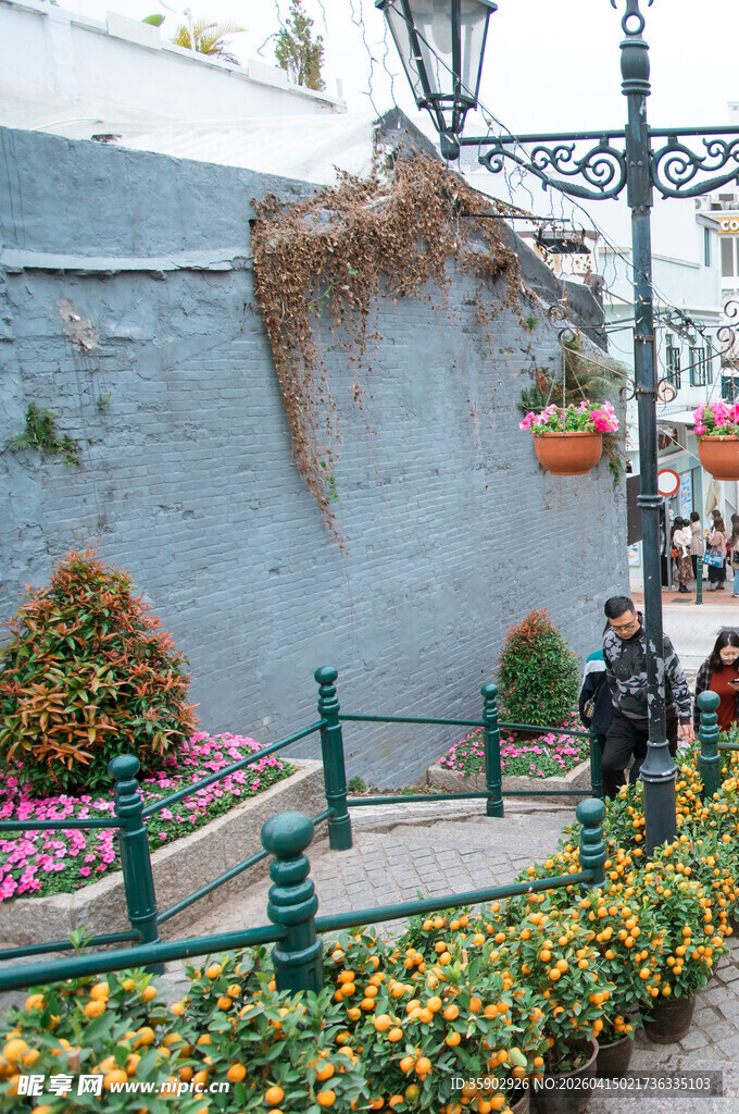 街头多彩花卉景观