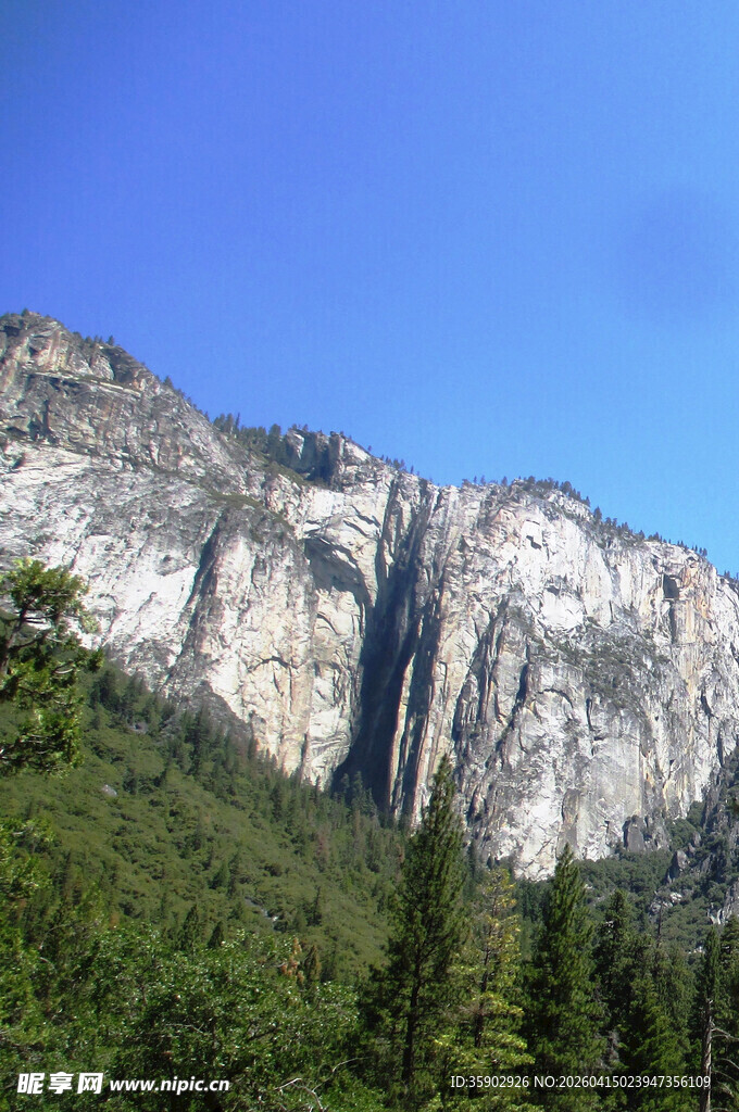 壮丽山景与葱郁森林
