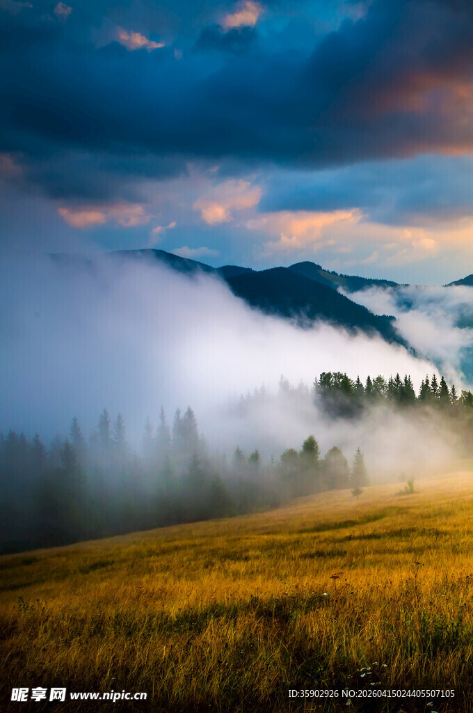 山间晨雾中的壮美田野景色