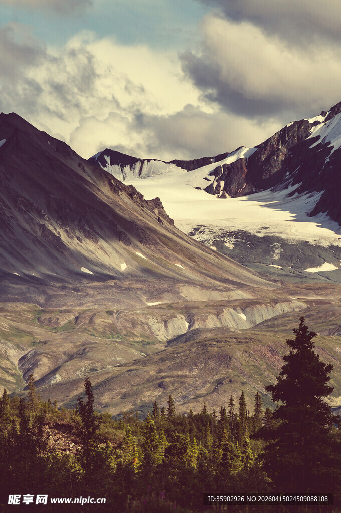 壮丽高山景观与葱郁林木