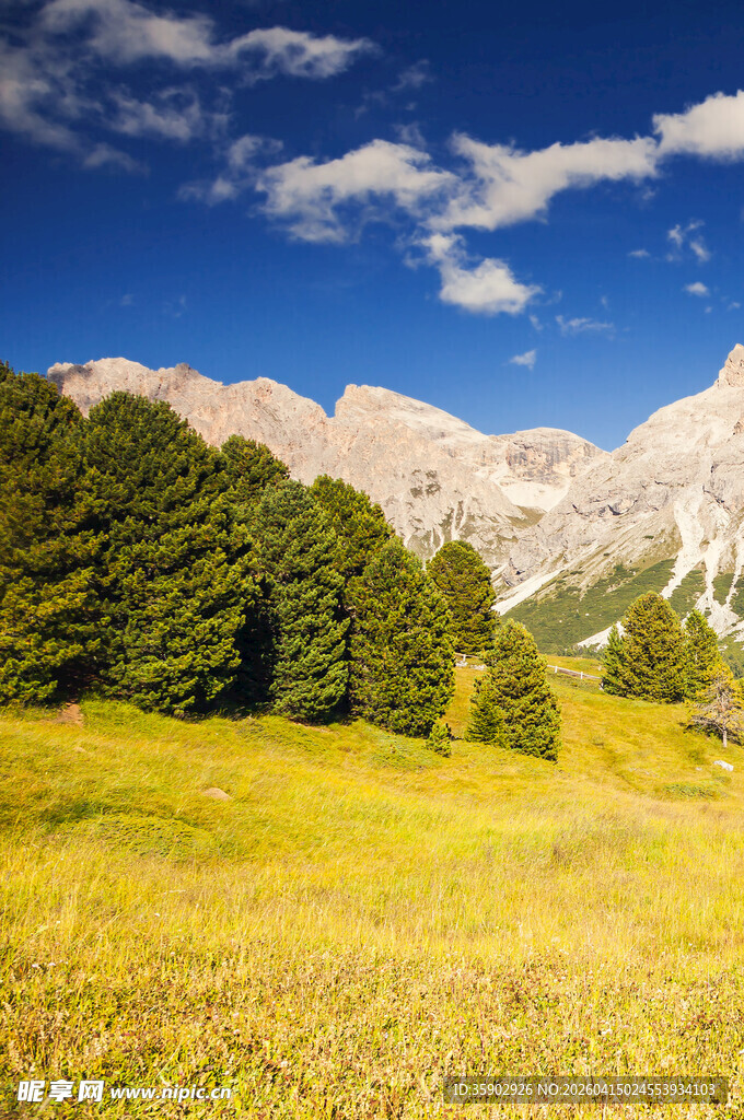 山间绿野蓝天绿树美景