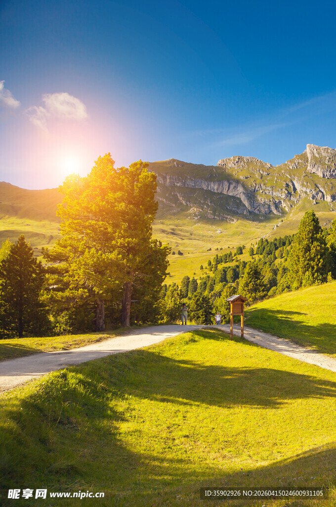 阳光照耀下的山间美丽公路