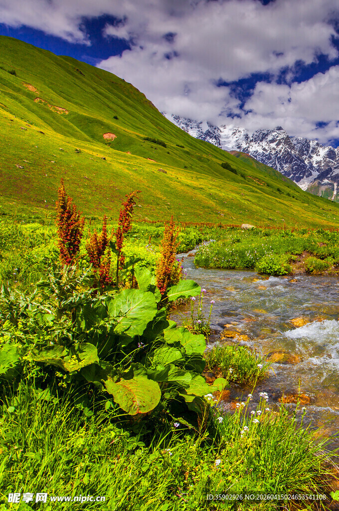山间绿野溪流美景