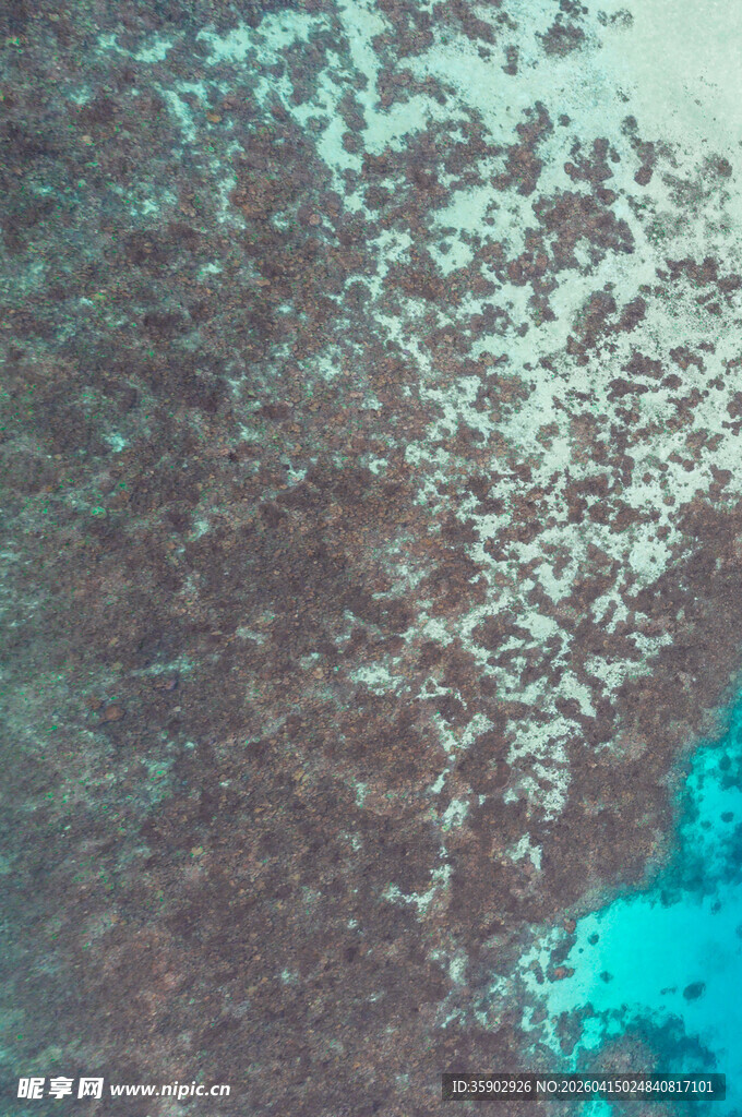 俯瞰多彩海底珊瑚景观