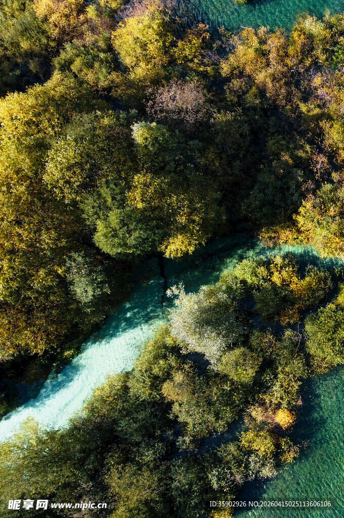 空中俯瞰葱郁山林间河流