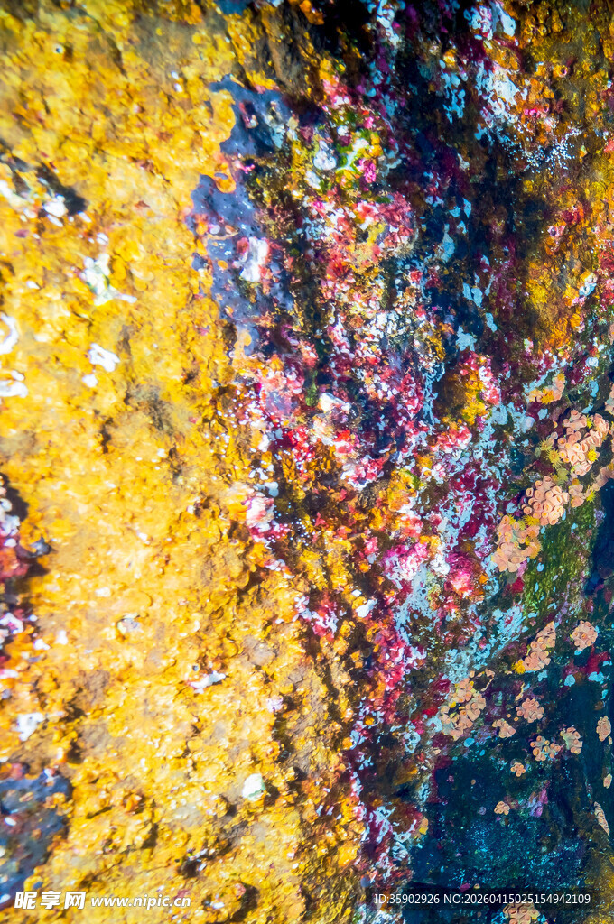 绚丽多彩的抽象艺术画面