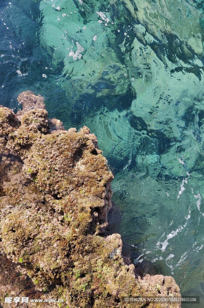 清澈海水下的斑斓礁石