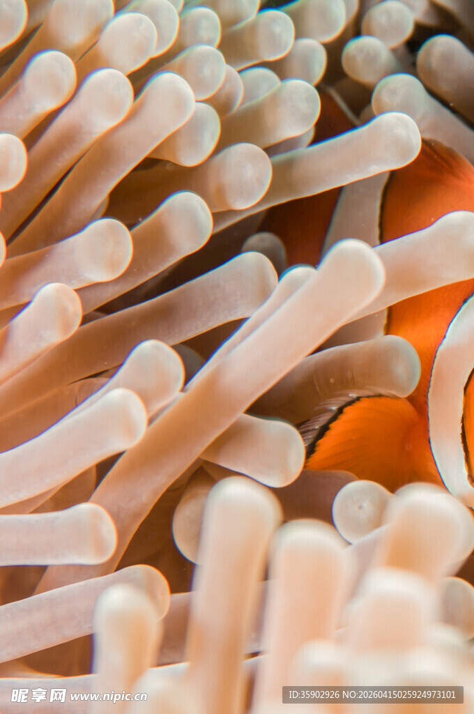 排列整齐的彩色火柴棒