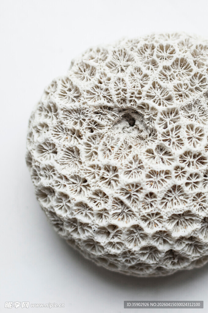独特纹理的白色多孔物体