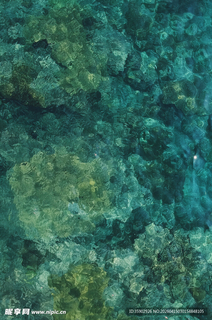 海底斑斓景象