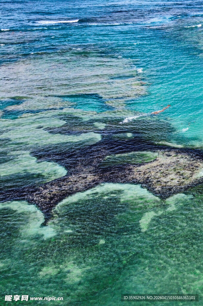 清澈海域下的斑斓珊瑚礁