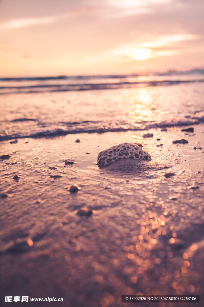 夕阳下的海滩与散落贝壳