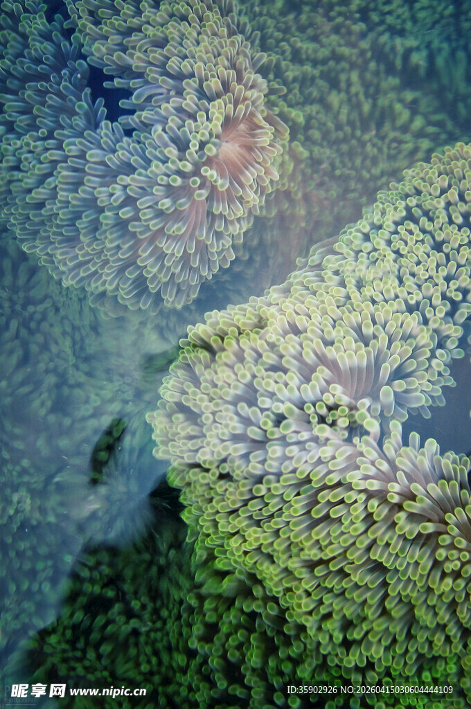 俯瞰绿意盎然的自然景观