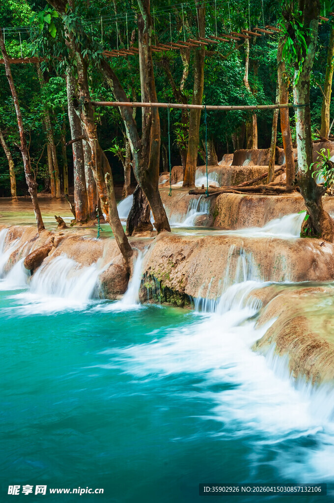 森林中的美丽瀑布景观