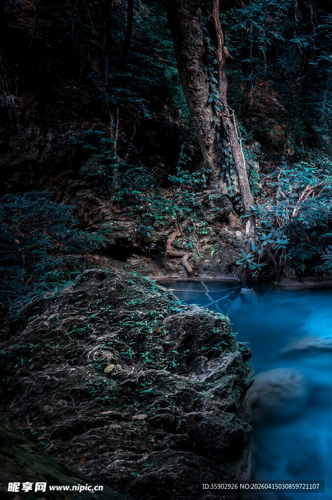 幽谧森林中的蓝色溪流
