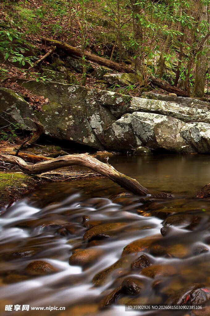 山间溪流潺潺自然美景