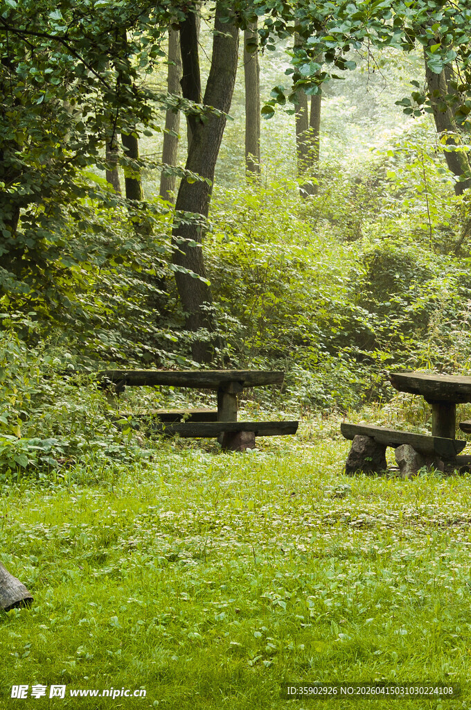 林间草地的休闲桌椅