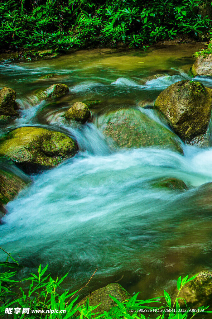 山间溪流潺潺绿意盎然