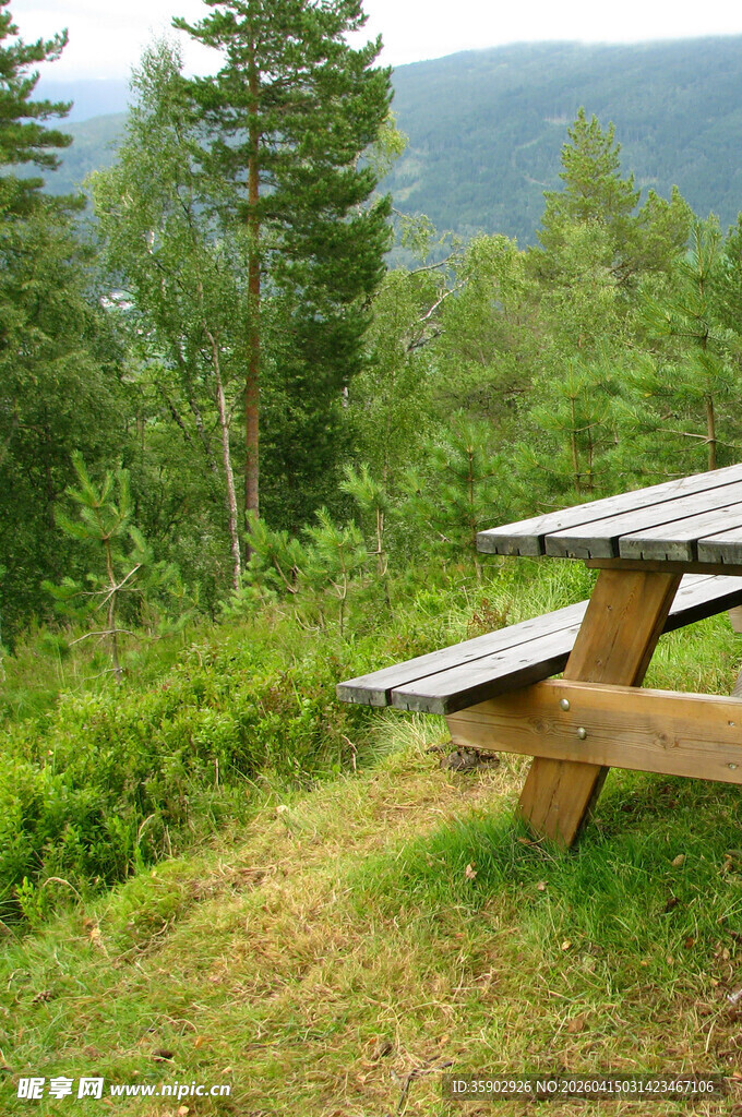 山林中的户外木质野餐桌