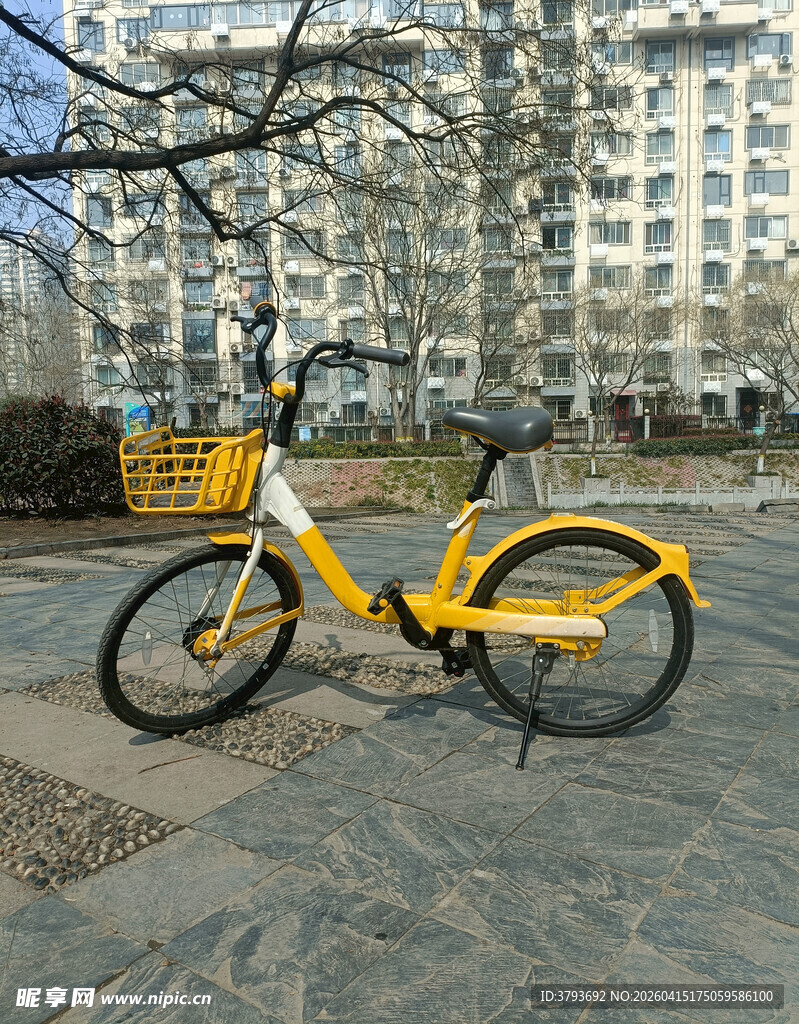 路边停放的黄色共享单车