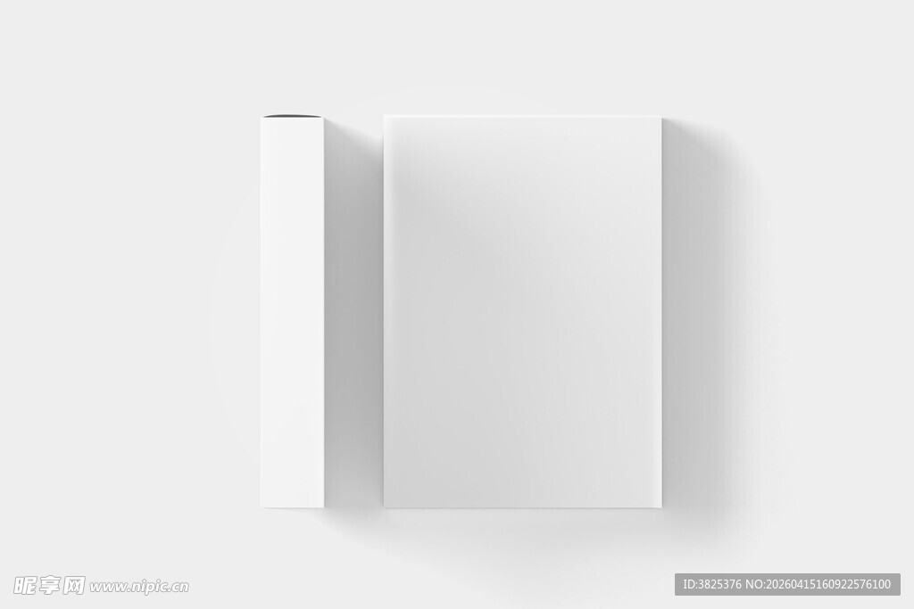 长方形扁盒子包装设计展示样机