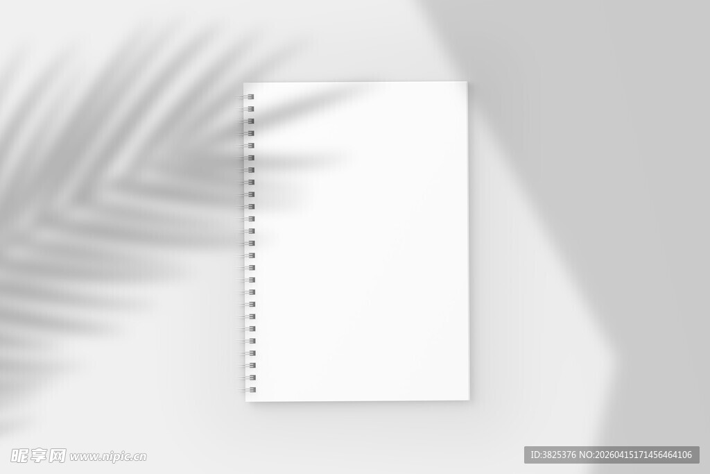 阴影下的线圈笔记本样机展示