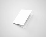 空白双折页宣传单设计展示样机