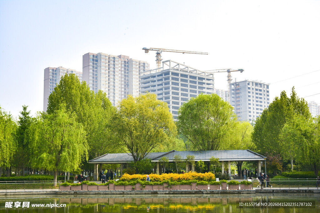 城市湖畔绿树与现代建筑