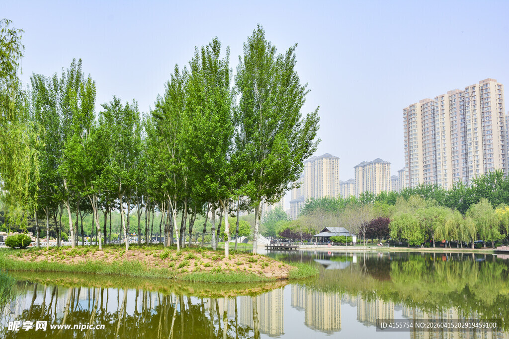 湖畔绿树与城市建筑景观