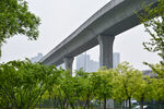 城市高架桥旁绿树景观