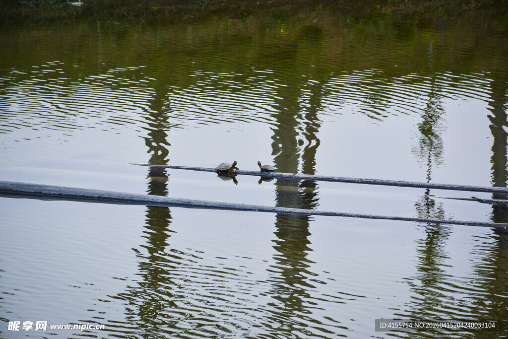 水中栏杆与倒影的静谧画面