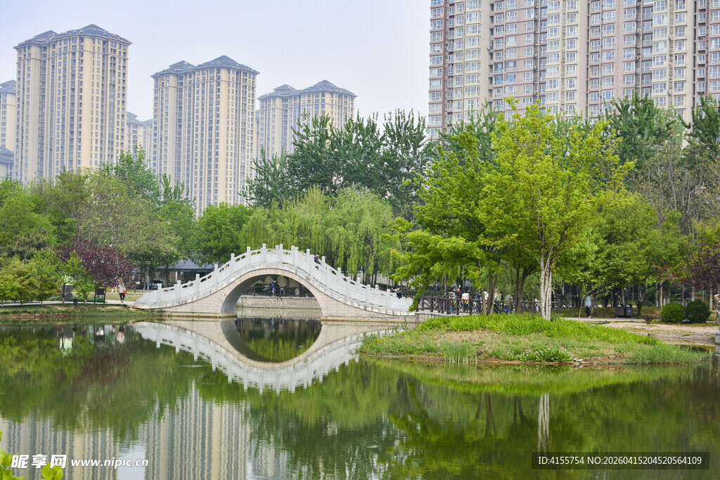 城市湖畔的拱桥风景