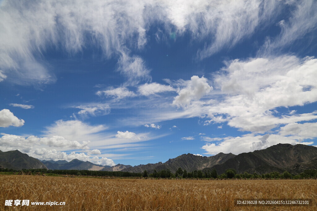 草原蓝天远山美景