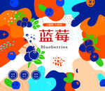 蓝莓插画海报