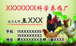 科学养鸡场名片