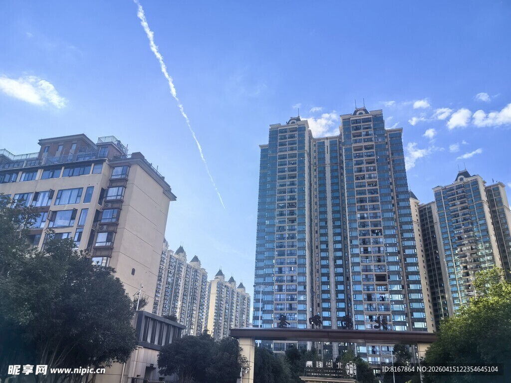 城市林立高楼景观