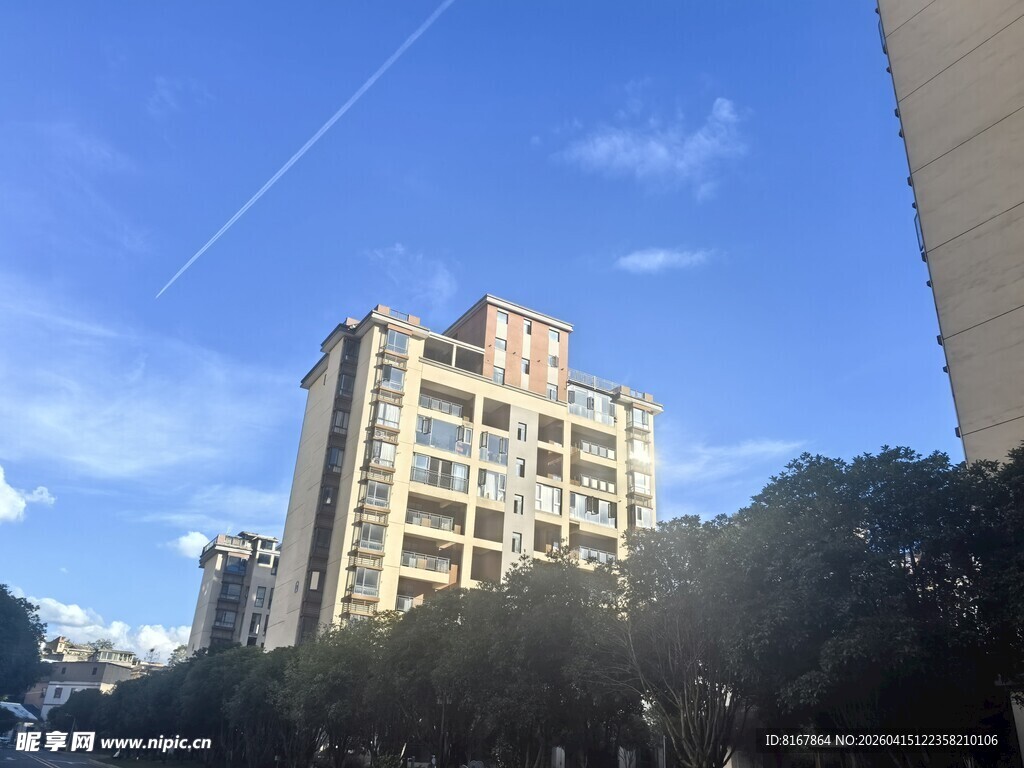 城市中高层住宅与绿树景观