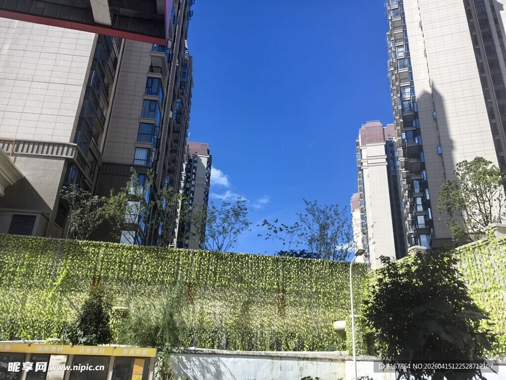 城市高楼间的绿植景观