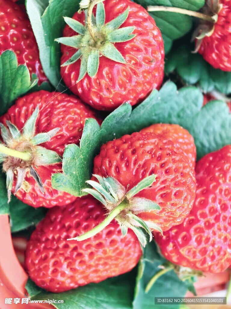 新鲜饱满的草莓果实
