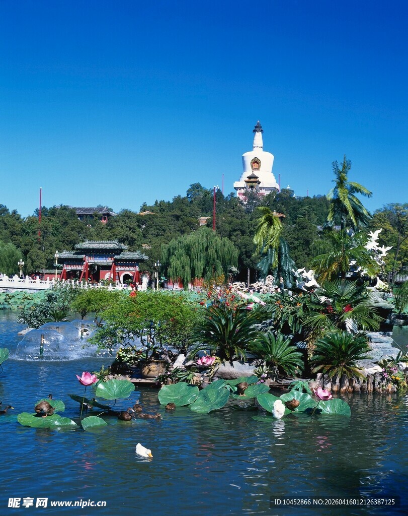 湖畔园林风光与白塔景致