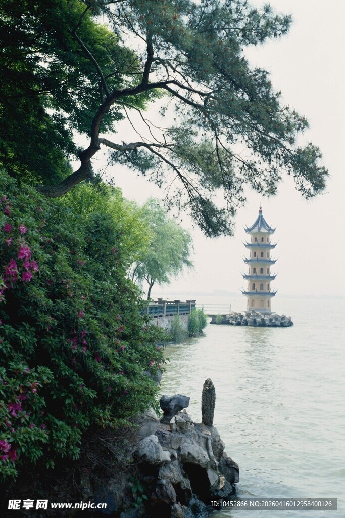 湖畔古塔美景