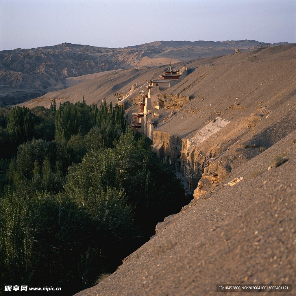 山间林地与土坡景观