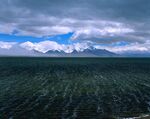 广袤森林与远方山峦景观