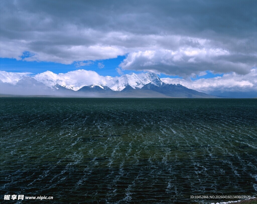 广袤森林与远方山峦景观