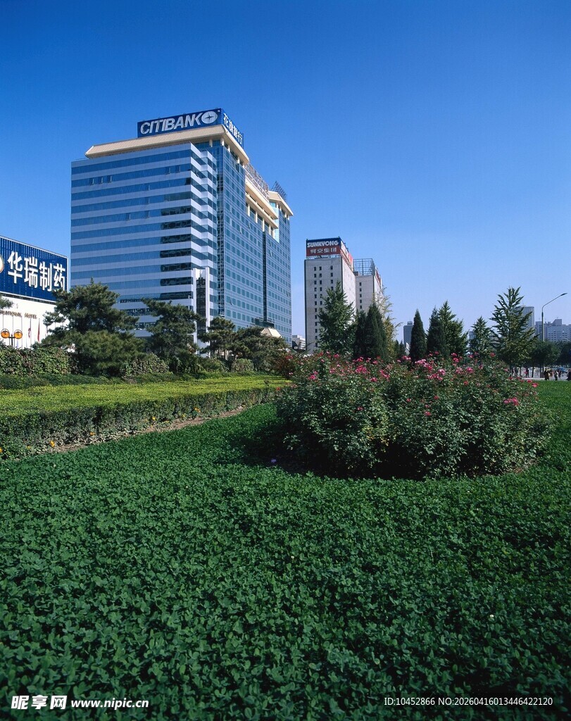 城市绿地旁的现代化高楼
