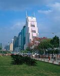 城市绿地旁的现代高楼景观