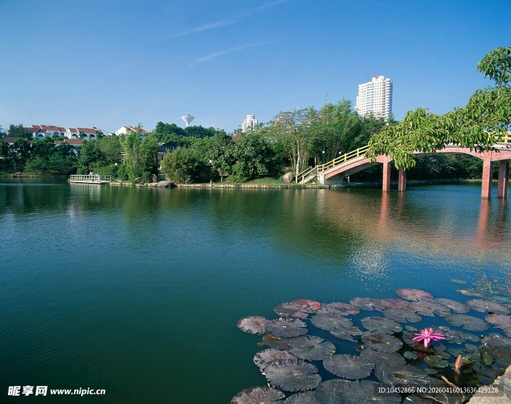 湖畔美景