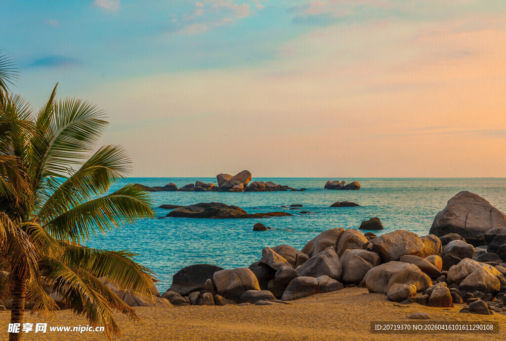 海边落日下的椰树与礁石